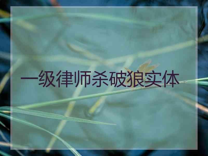 一级律师杀破狼实体