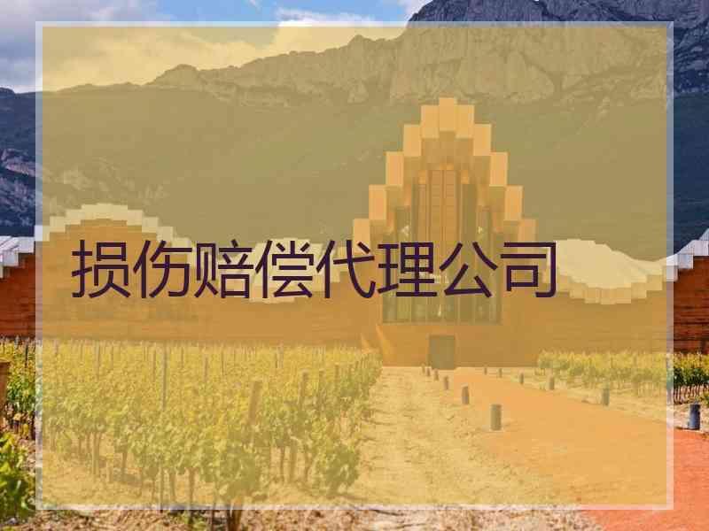 损伤赔偿代理公司