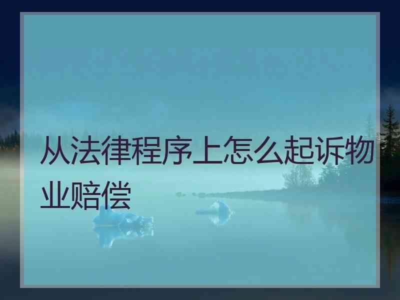 从法律程序上怎么起诉物业赔偿