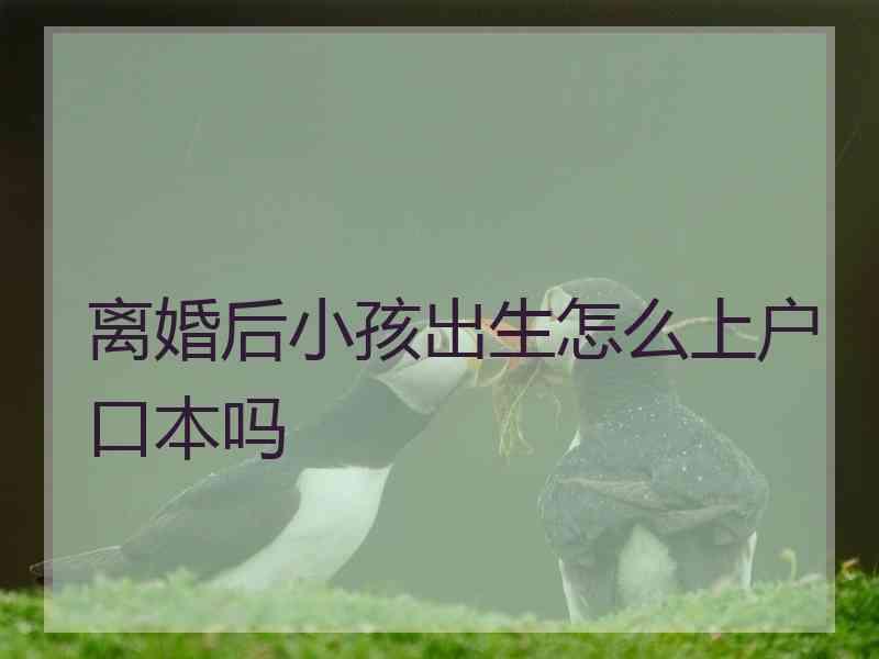 离婚后小孩出生怎么上户口本吗