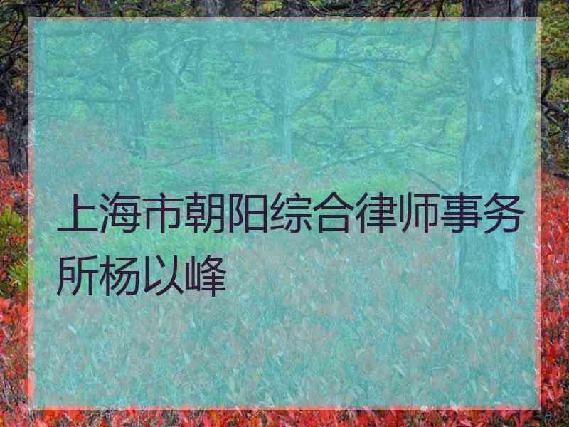 上海市朝阳综合律师事务所杨以峰