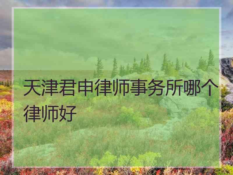 天津君申律师事务所哪个律师好