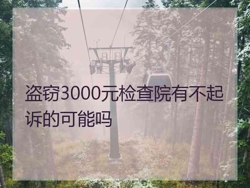 盗窃3000元检查院有不起诉的可能吗