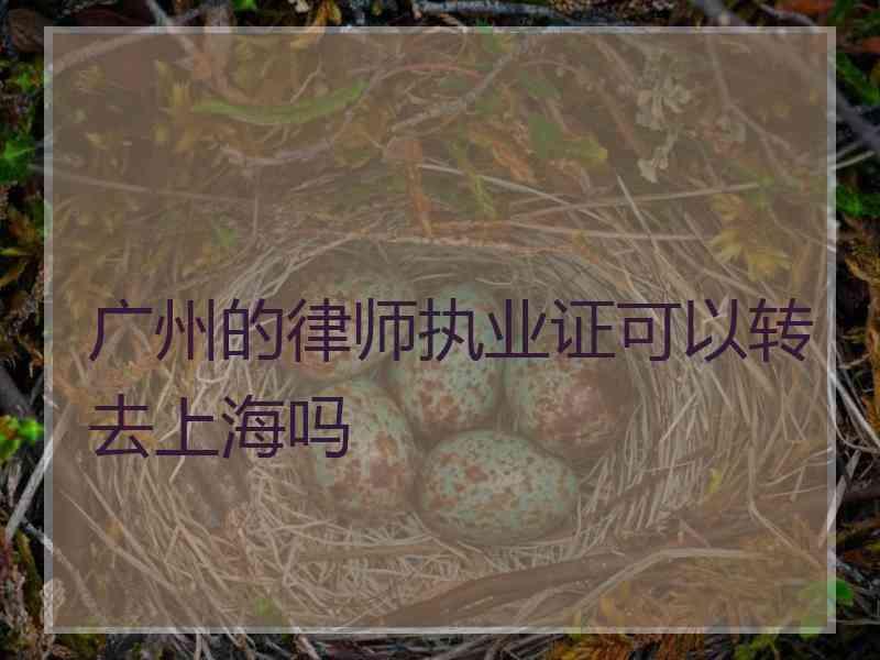 广州的律师执业证可以转去上海吗