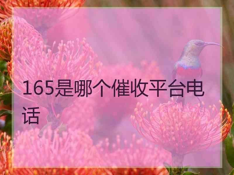 165是哪个催收平台电话