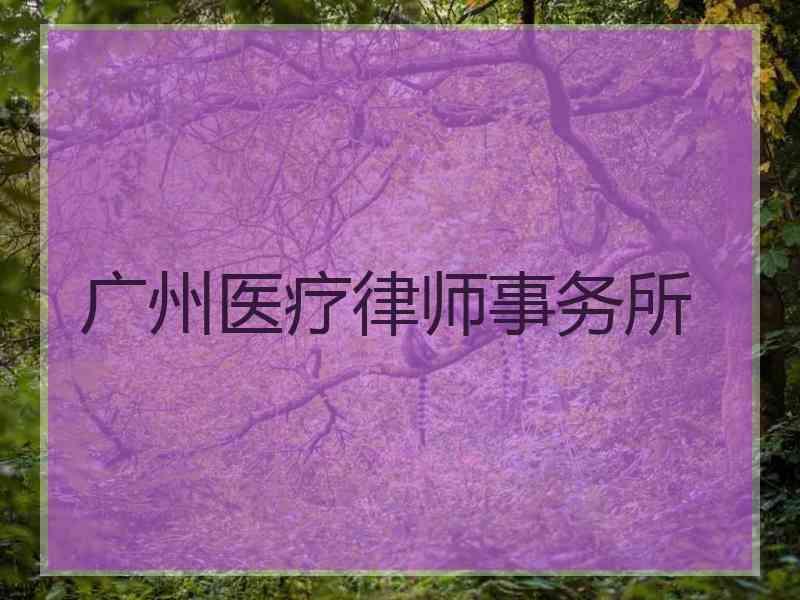 广州医疗律师事务所