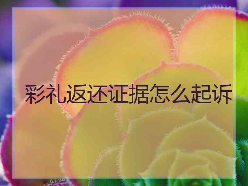 彩礼返还证据怎么起诉