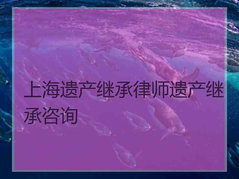 上海遗产继承律师遗产继承咨询