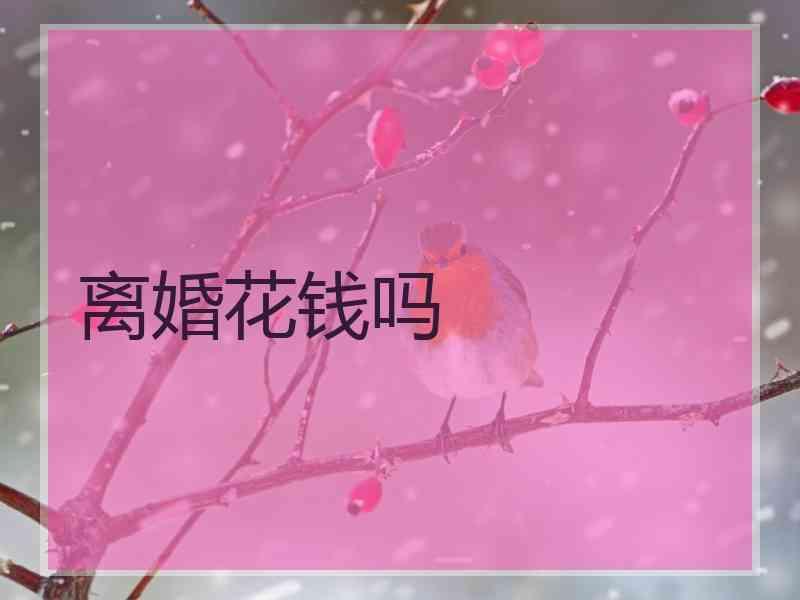 离婚花钱吗