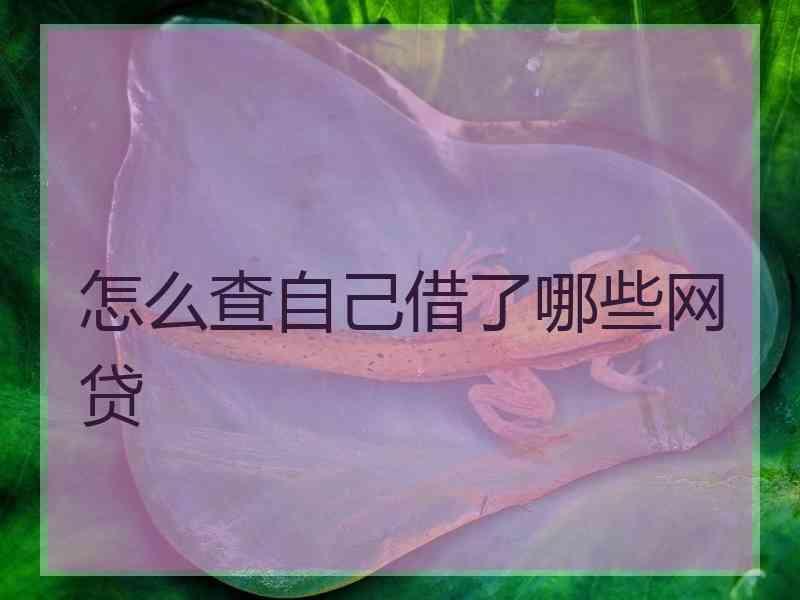 怎么查自己借了哪些网贷