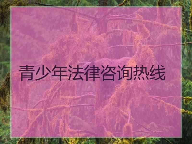 青少年法律咨询热线