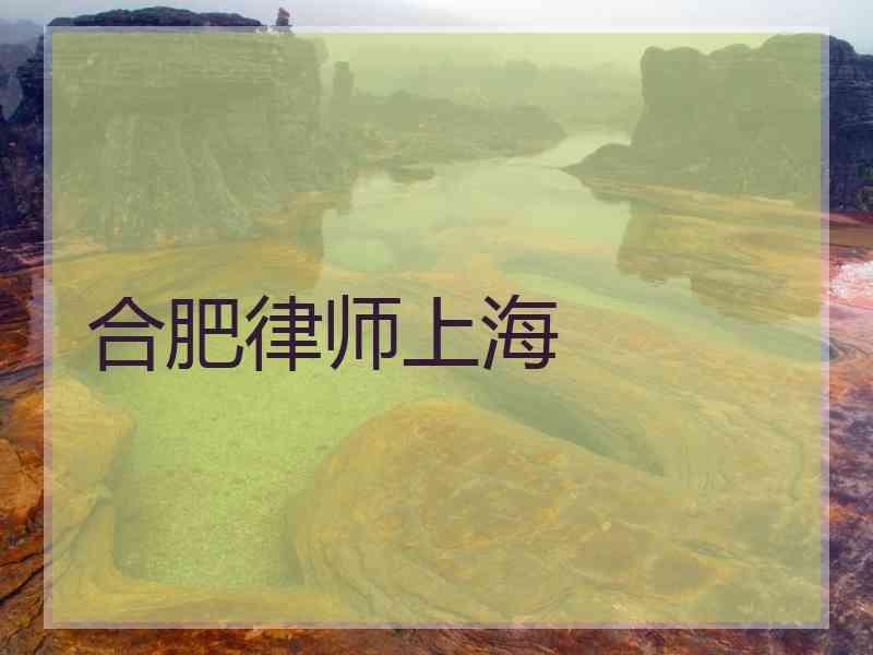 合肥律师上海