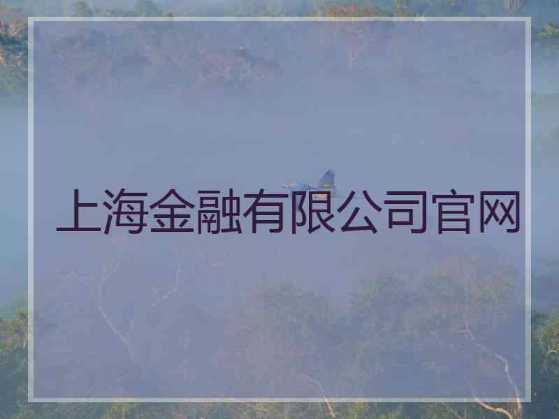 上海金融有限公司官网