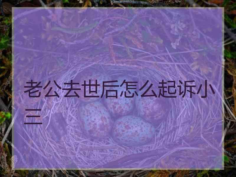 老公去世后怎么起诉小三