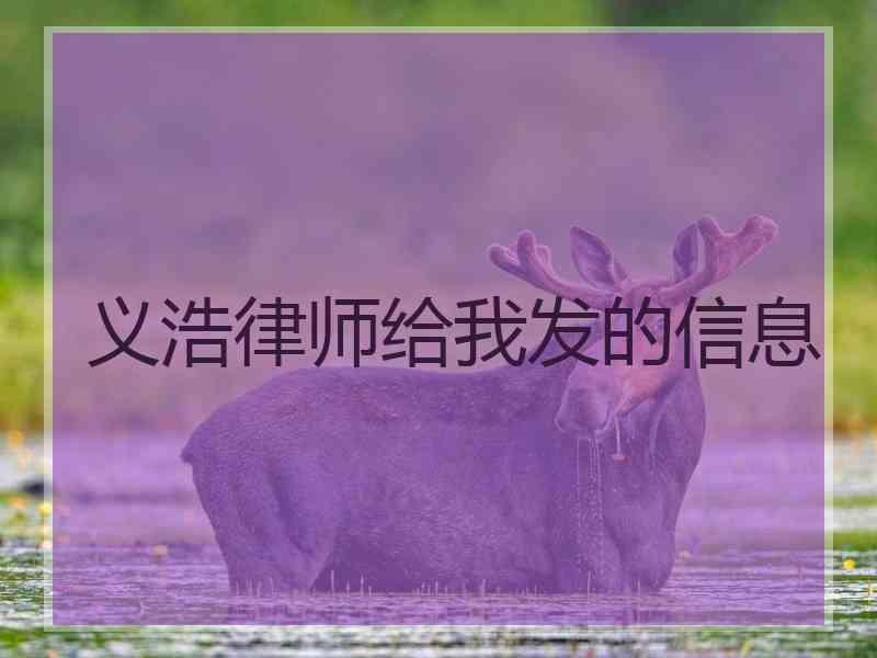 义浩律师给我发的信息