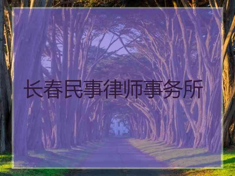 长春民事律师事务所