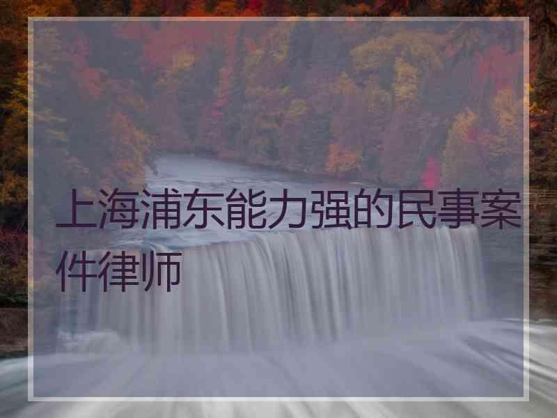 上海浦东能力强的民事案件律师