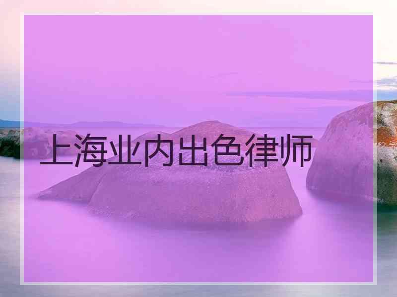 上海业内出色律师