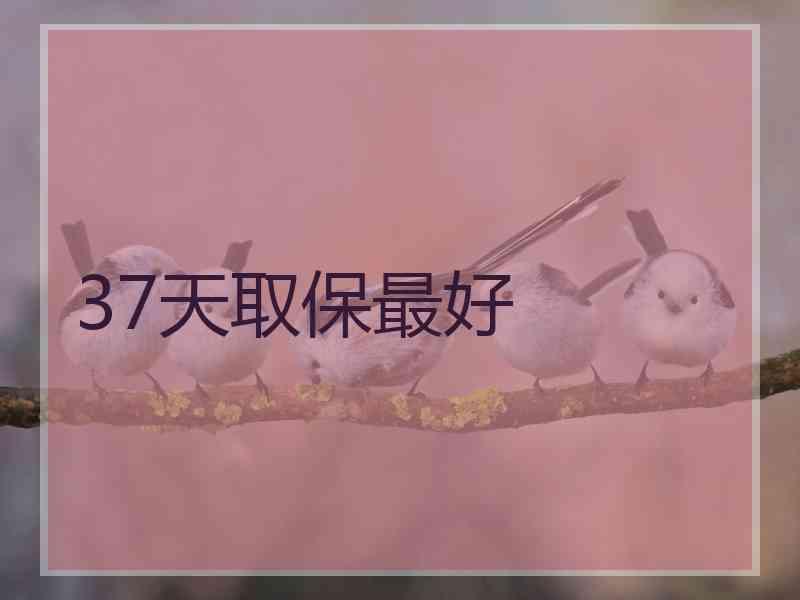 37天取保最好