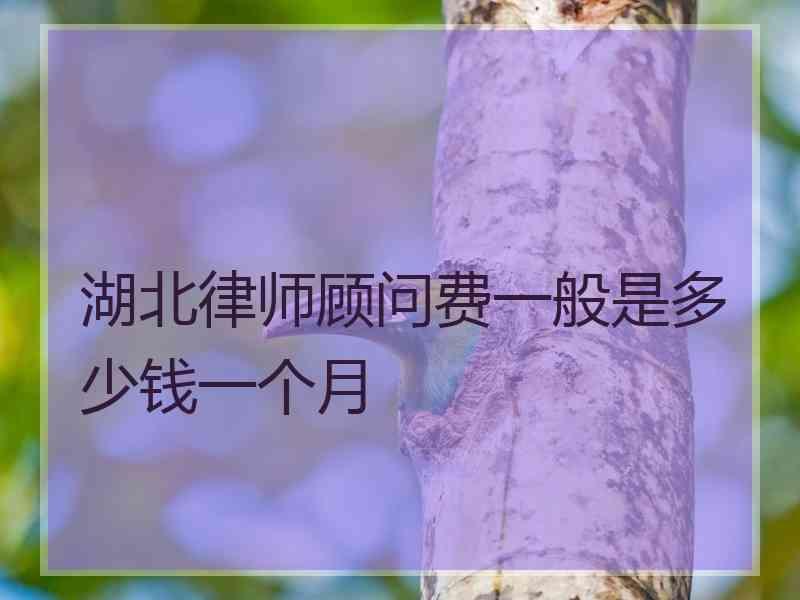 湖北律师顾问费一般是多少钱一个月