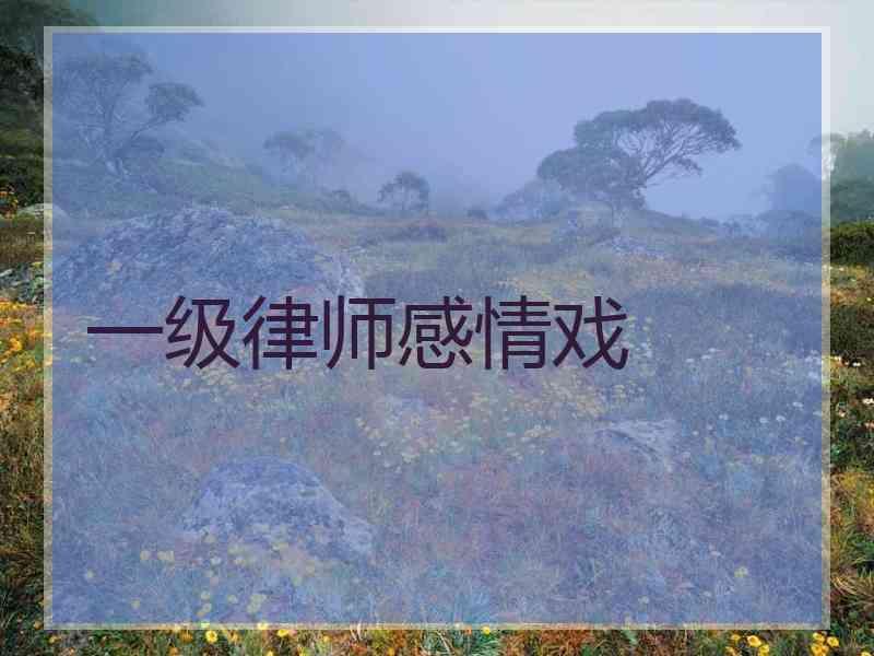 一级律师感情戏