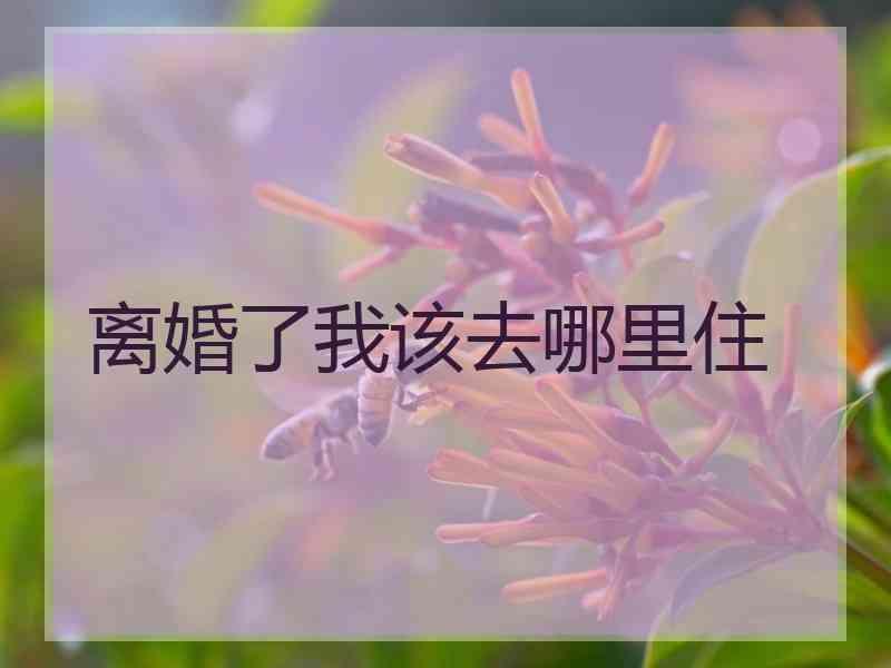 离婚了我该去哪里住