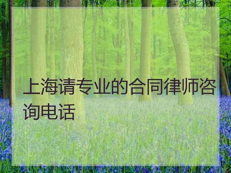 上海请专业的合同律师咨询电话