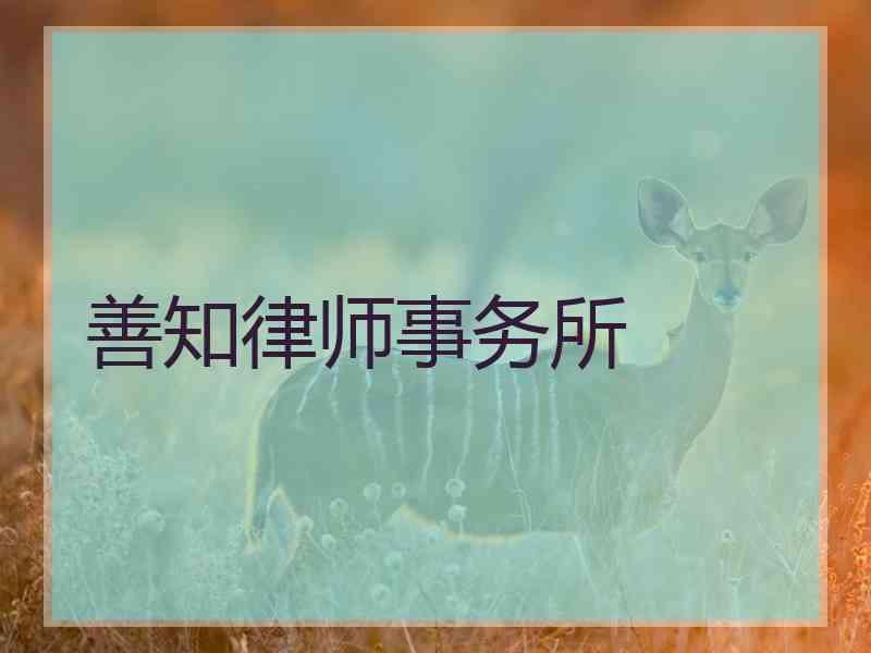 善知律师事务所
