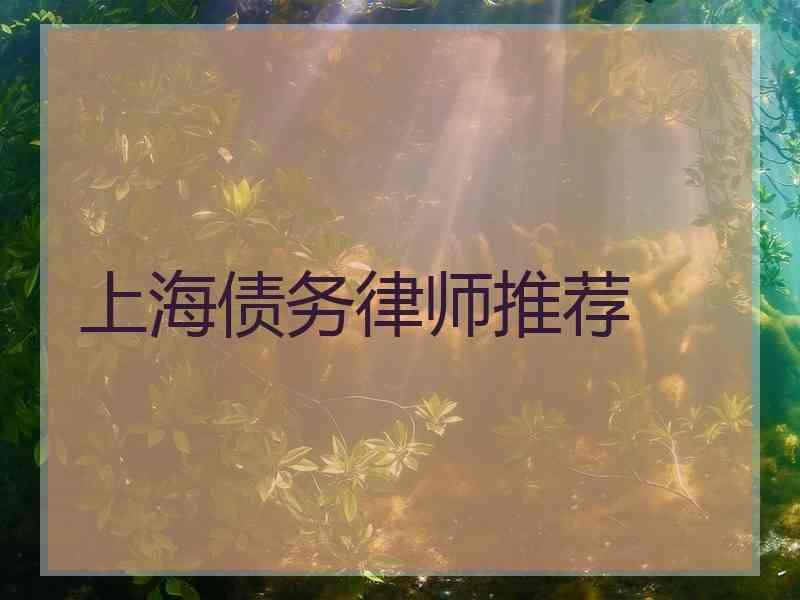 上海债务律师推荐