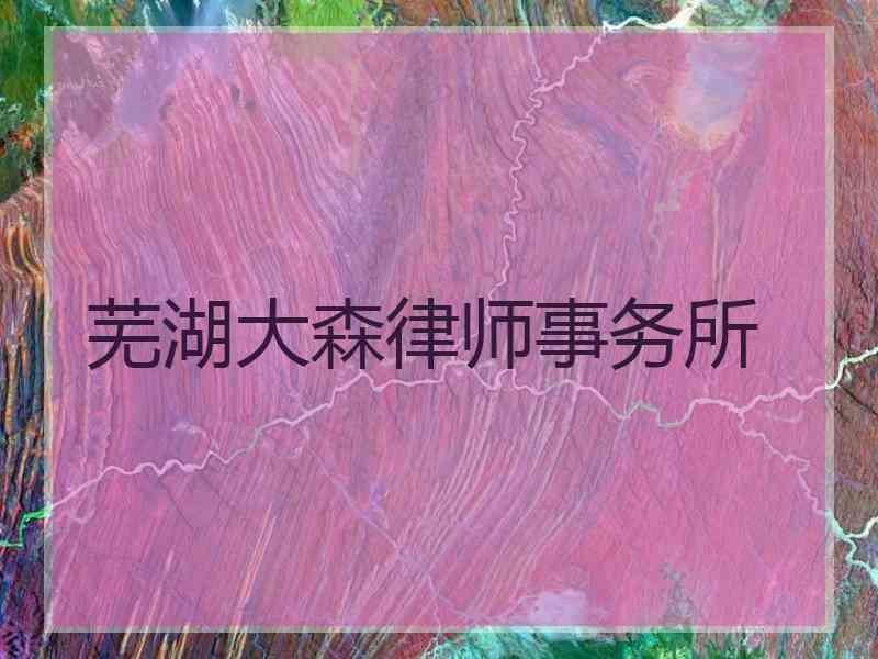 芜湖大森律师事务所