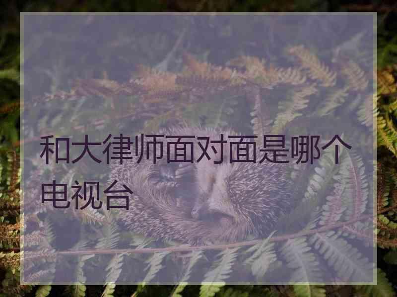 和大律师面对面是哪个电视台