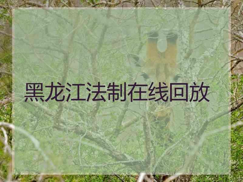 黑龙江法制在线回放