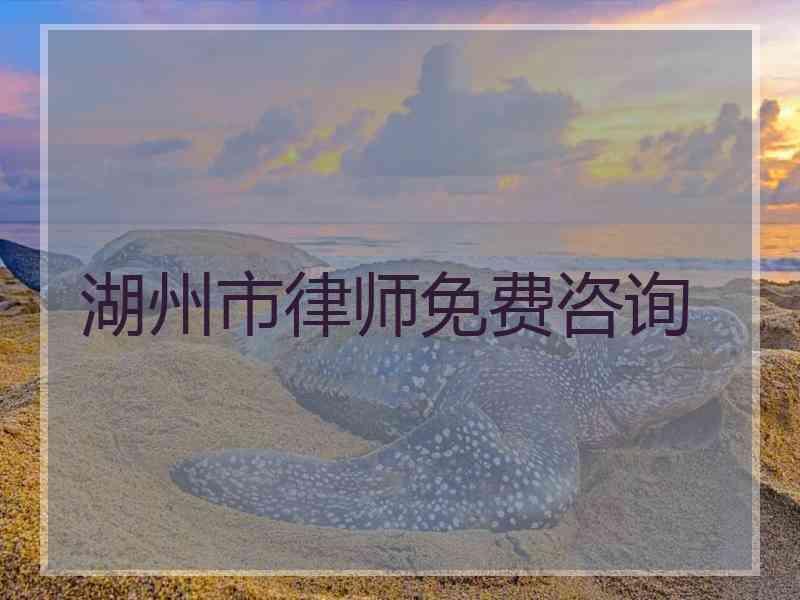 湖州市律师免费咨询