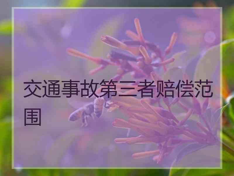 交通事故第三者赔偿范围