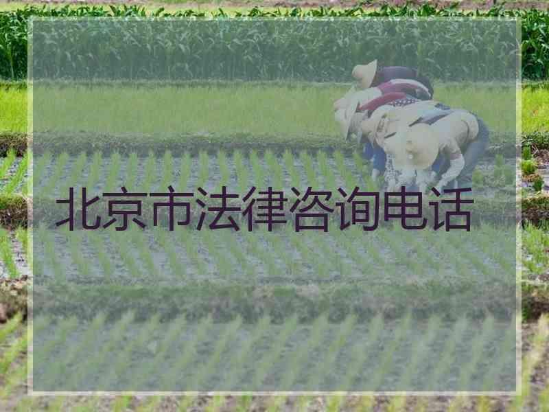 北京市法律咨询电话