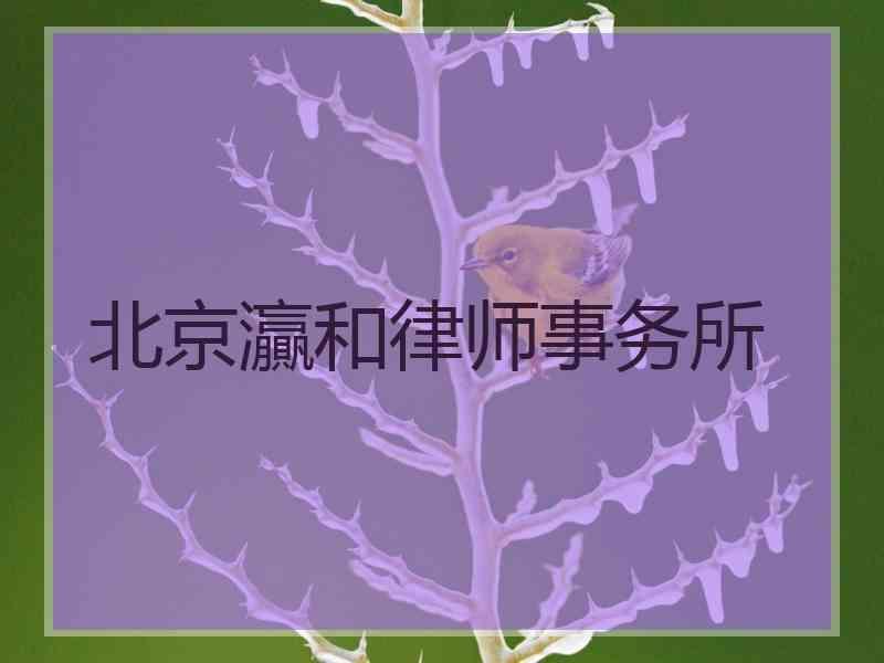 北京灜和律师事务所