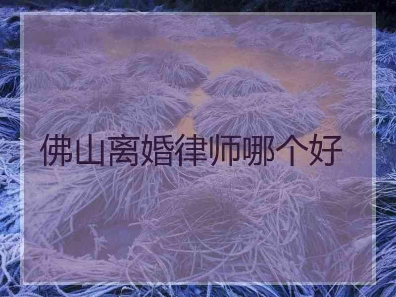 佛山离婚律师哪个好