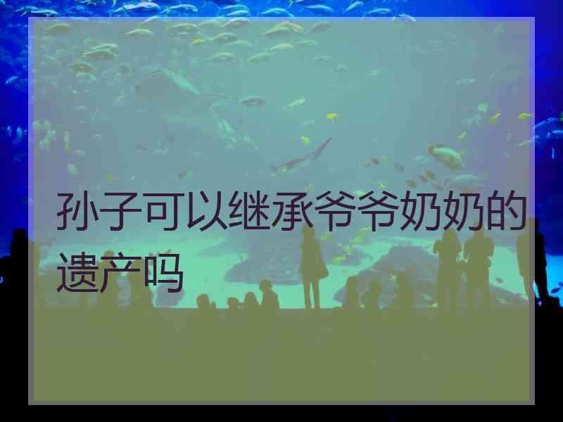 孙子可以继承爷爷奶奶的遗产吗