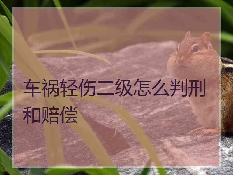 车祸轻伤二级怎么判刑和赔偿