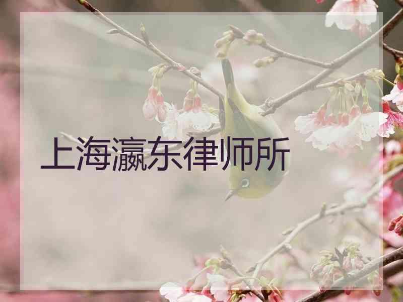 上海瀛东律师所