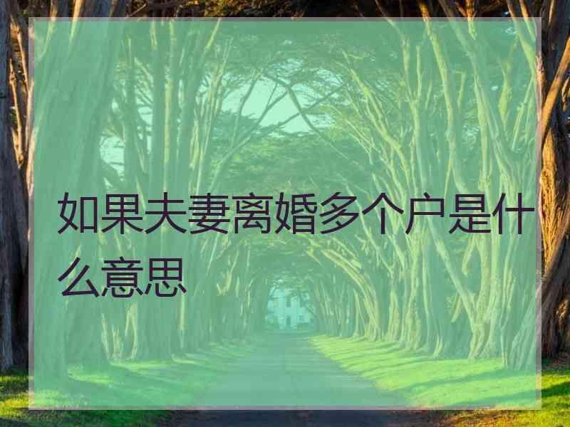 如果夫妻离婚多个户是什么意思
