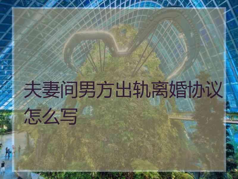 夫妻间男方出轨离婚协议怎么写