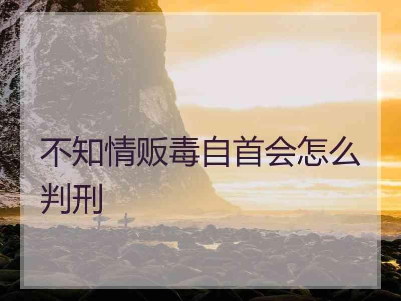 不知情贩毒自首会怎么判刑