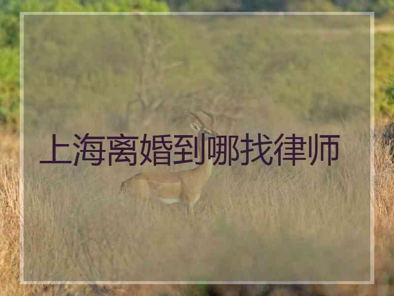 上海离婚到哪找律师