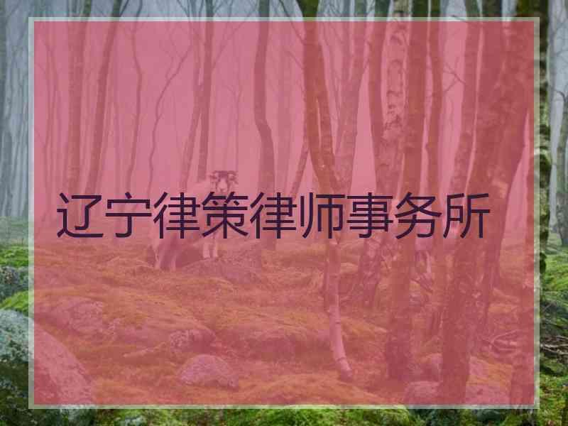 辽宁律策律师事务所