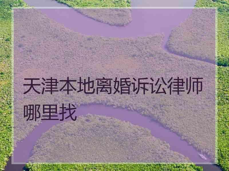 天津本地离婚诉讼律师哪里找