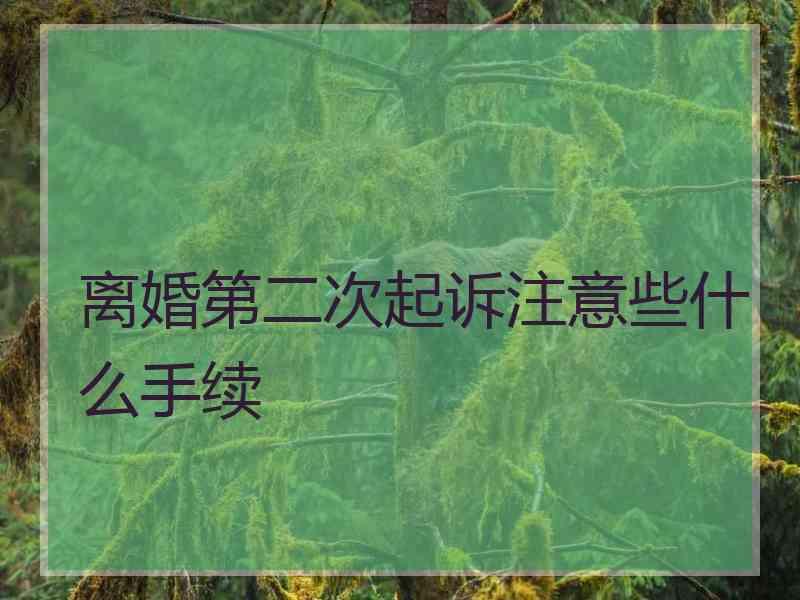 离婚第二次起诉注意些什么手续