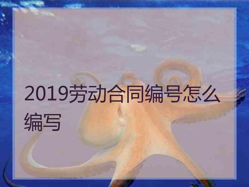 2019劳动合同编号怎么编写