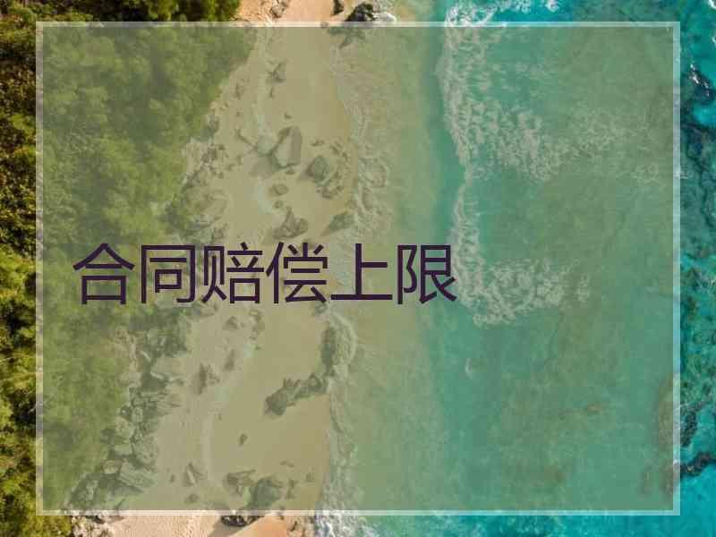 合同赔偿上限