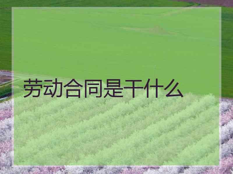 劳动合同是干什么